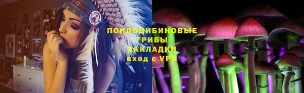 гашик Аркадак