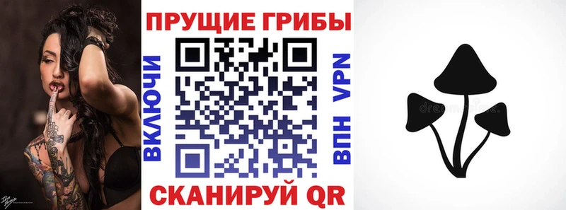 блэк спрут зеркало Сорск Галлюциногенные грибы Cubensis